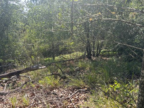 Lot 1541 Pahoiki Lane, Bastrop, TX, 78602 | Card Image