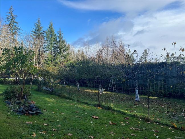 fenced garden with 4 apple and 2 cherry trees | Image 4