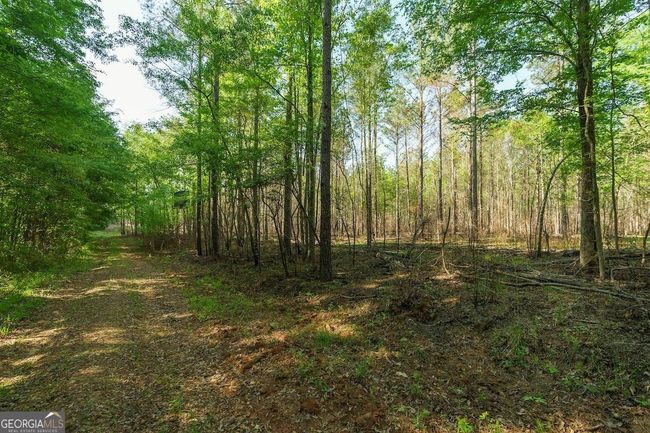 6053 Sun Hill Grange Rd, Home with 0 bedrooms, 0 bathrooms and null parking in Davisboro GA | Image 16