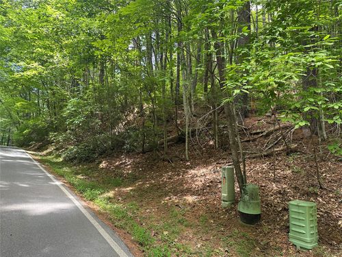 113 W Christy Trail, Sapphire, NC, 28774 | Card Image