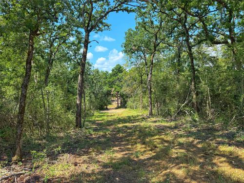 12 County Road 292, Buffalo, TX, 75831 | Card Image