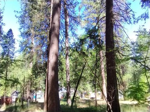 506 Silva Avenue, Nevada City, CA, 95959 | Card Image