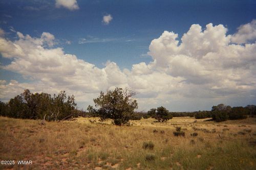 0 N6702, St. Johns, AZ, 85936 | Card Image