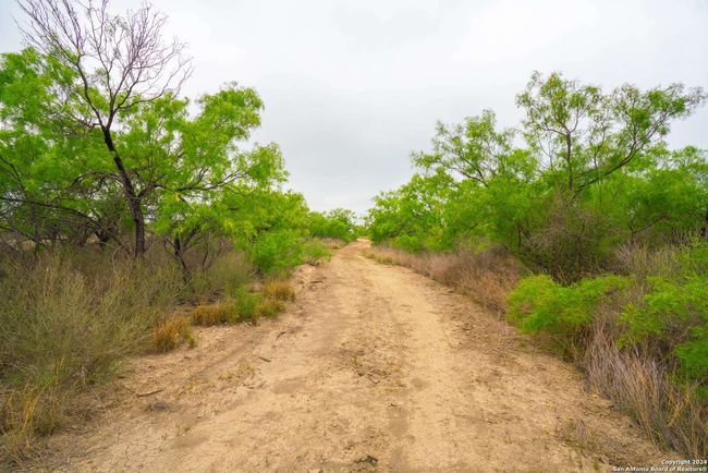 16131 El Indio Hwy, Home with 0 bedrooms, 0 bathrooms and null parking in Eagle Pass TX | Image 15