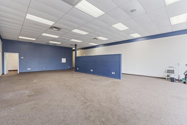 12-web-or-mls-1C1A9354.jpg | Image 13
