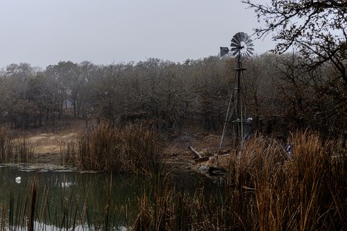 2946 Fm 52, Graford, TX, 76449 | Card Image