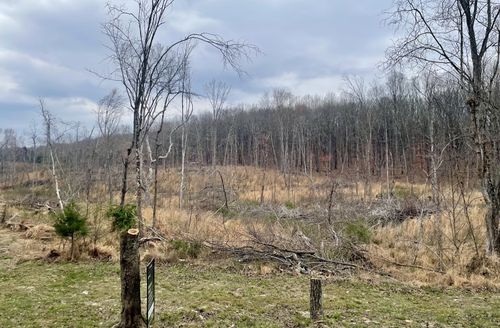 0 Jackson Point Rd, Sewanee, TN, 37375 | Card Image