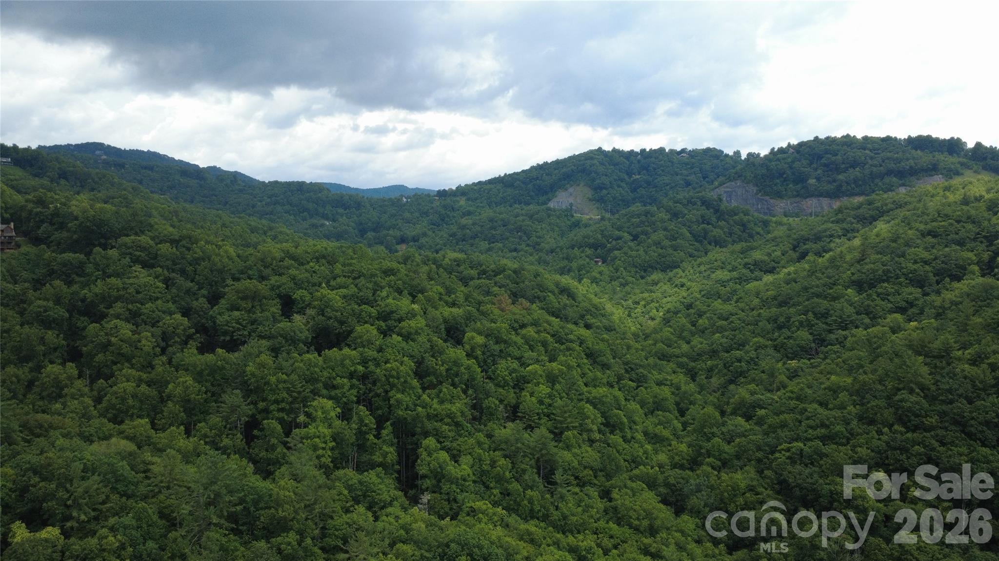 Land in Lenoir 5
