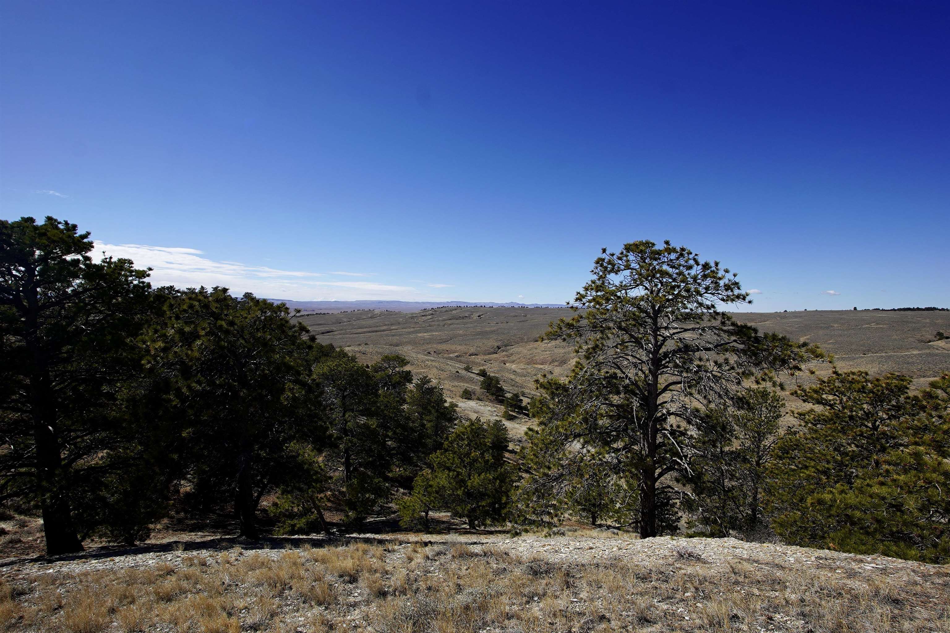 Land in Natrona 2