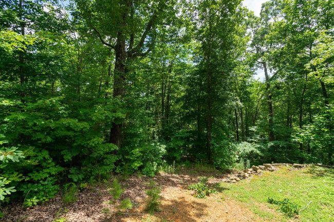 0 Valley Rim Dr, Home with 0 bedrooms, 0 bathrooms and null parking in Chickamauga GA | Image 8