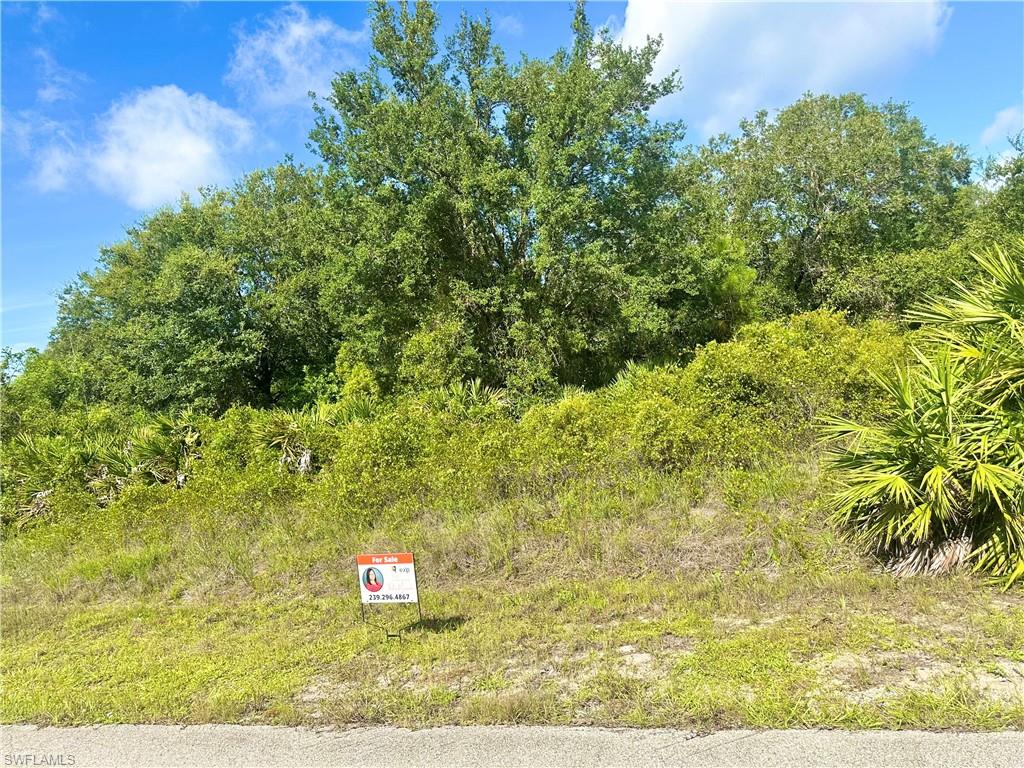 Land in LEHIGH ACRES 2