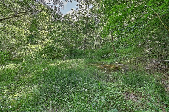 000 Goode Hollow Rd, Home with 0 bedrooms, 0 bathrooms and null parking in Duffield VA | Image 14