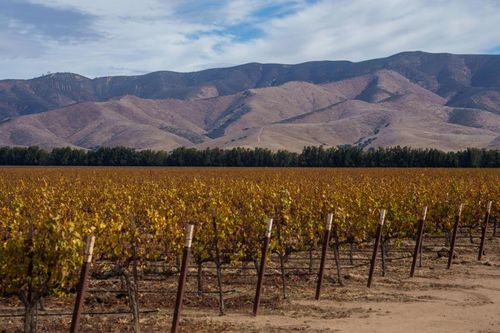 31102 Camphora Rd, Soledad, CA, 93960 | Card Image