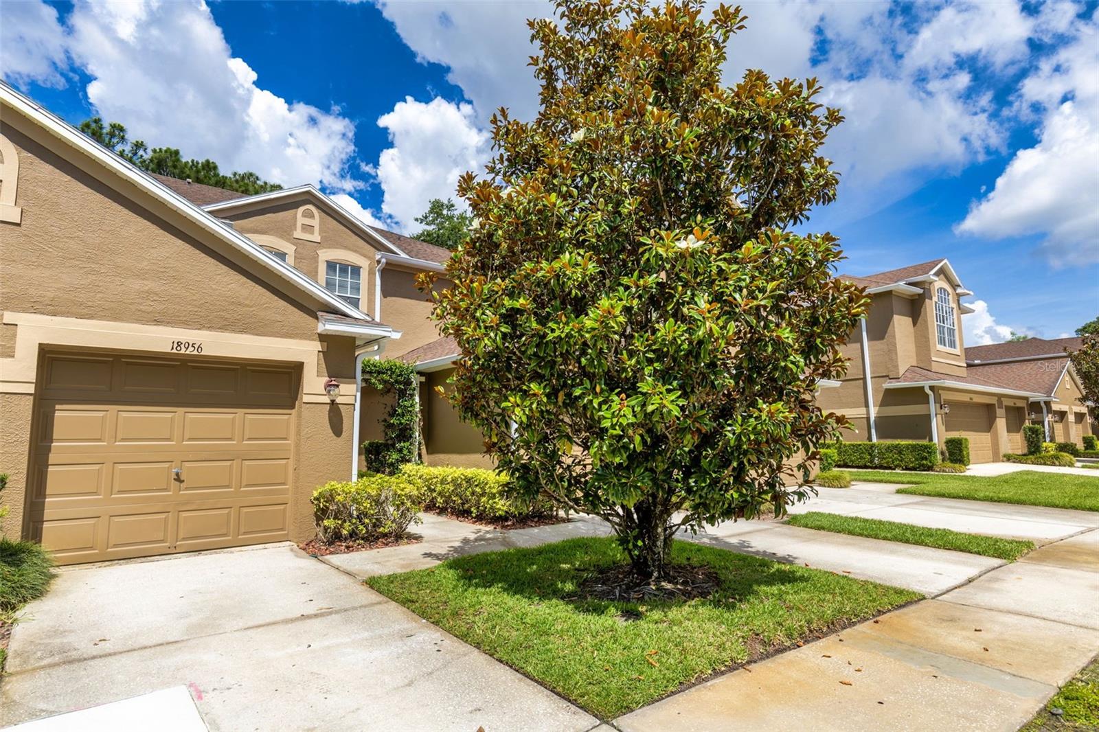 Residential in TAMPA 3