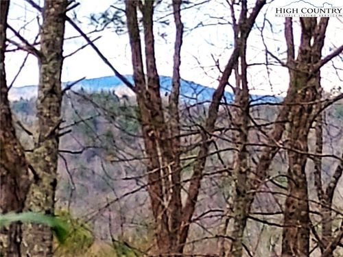 5354 W Ridge Dr, Ferguson, NC, 28624 | Card Image