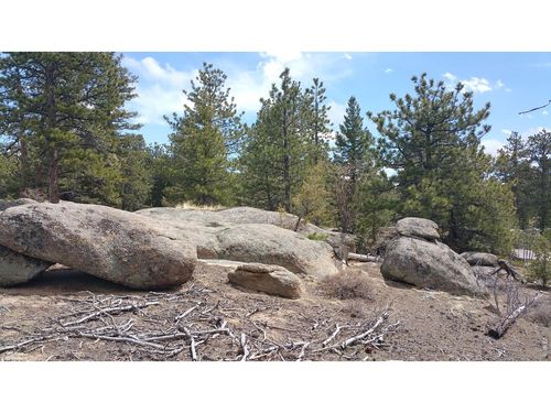 2928 Fox Acres Dr E, Red Feather Lakes, CO, 80545 | Card Image