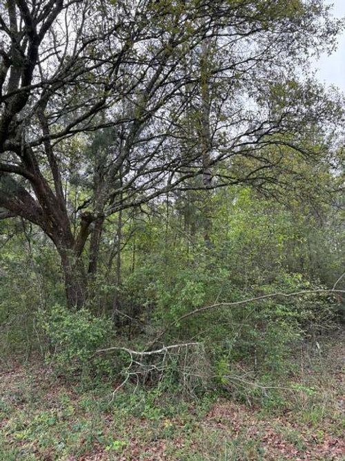 NHN Highway 43, Picayune, MS, 39466 | Card Image