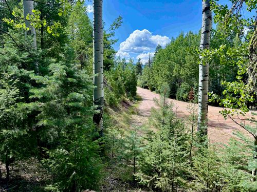 Lot 1568 Luna Dr, Angel Fire, NM, 87710 | Card Image
