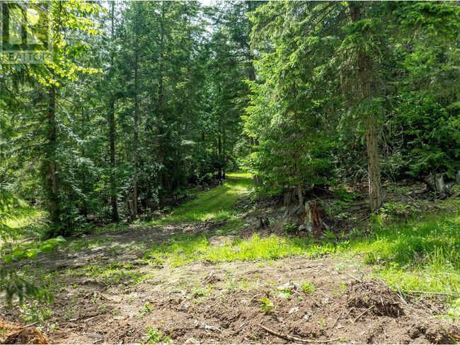 3175 Hautala Rd, Home with 0 bedrooms, 0 bathrooms and null parking in Sorrento BC | Image 14