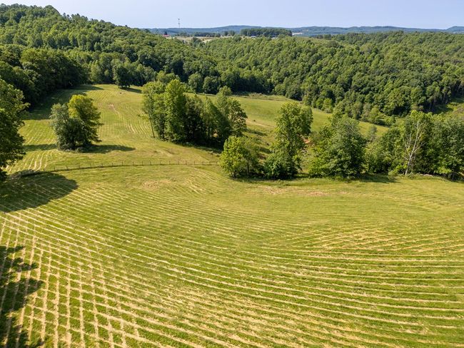 688 Gibson Knob Rd, Home with 0 bedrooms, 0 bathrooms and null parking in Laurel Fork VA | Image 25