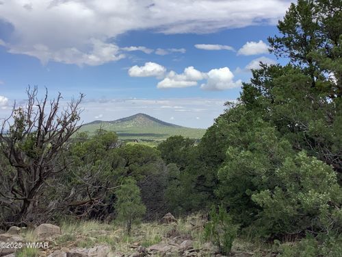 37 Acr 3168, Vernon, AZ, 85940-0010 | Card Image