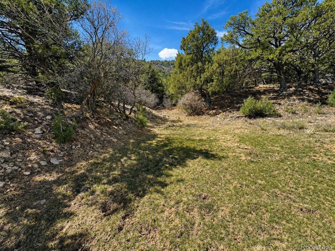 Land in Texas Creek 2