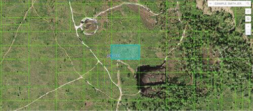  Tiger Lake Road, Lake Wales, FL, 33898 | Card Image