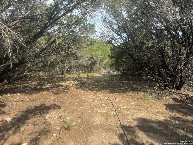 1608 Spring Rd, Home with 0 bedrooms, 0 bathrooms and null parking in Pipe Creek TX | Image 14