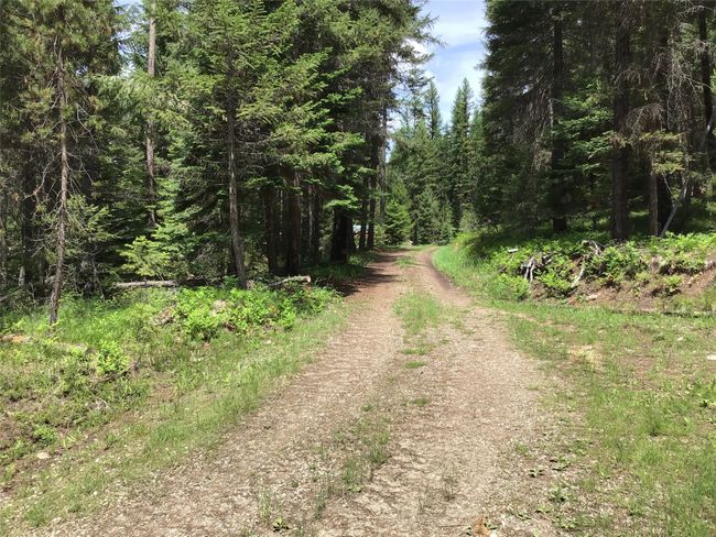 Driveway | Image 26