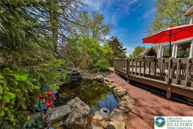 Pond | Image 29