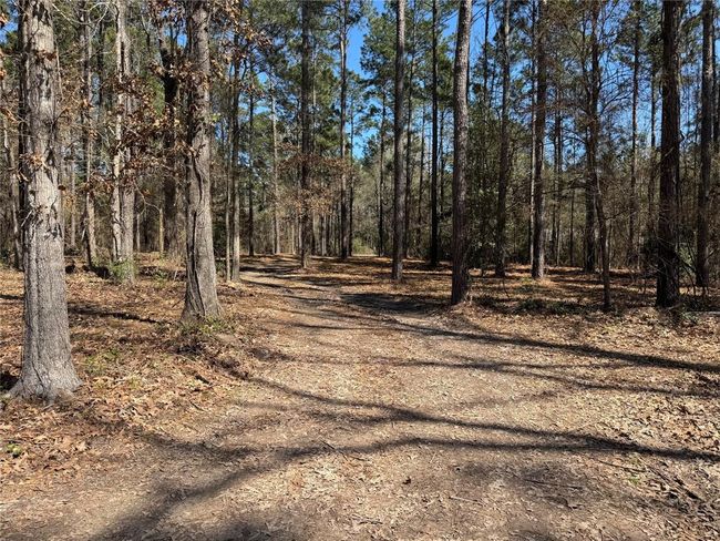 000 Old Farm Market 705 S, House other with 2 bedrooms, 2 bathrooms and 3 parking in Broaddus TX | Image 23