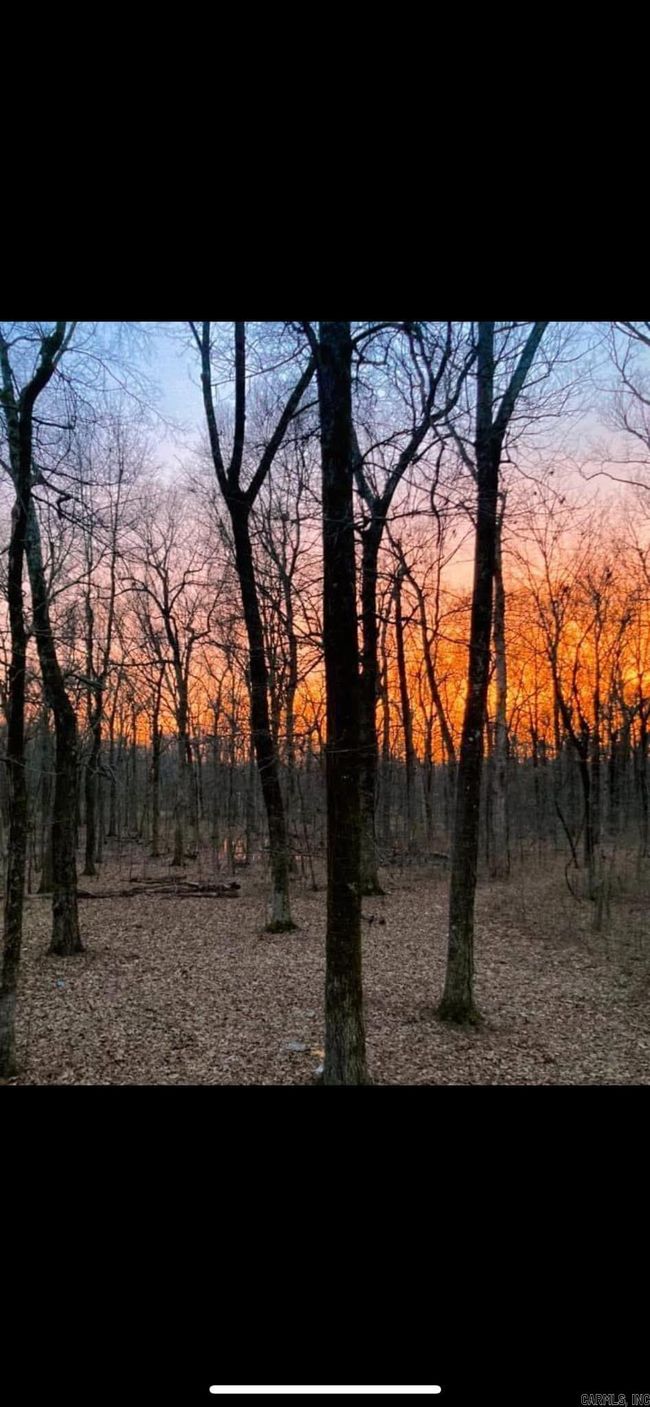 541 Cox Cypress Rd, House other with 3 bedrooms, 2 bathrooms and null parking in Stuttgart AR | Image 30