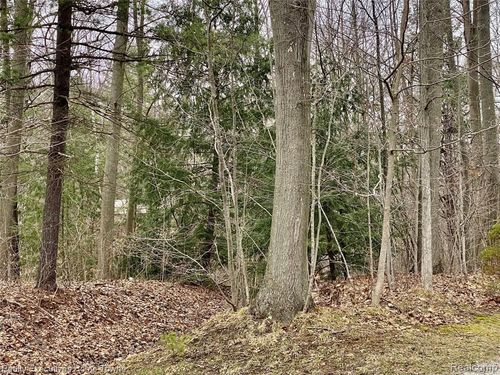 V/L Krystal Court, Clyde Township, MI, 48049 | Card Image