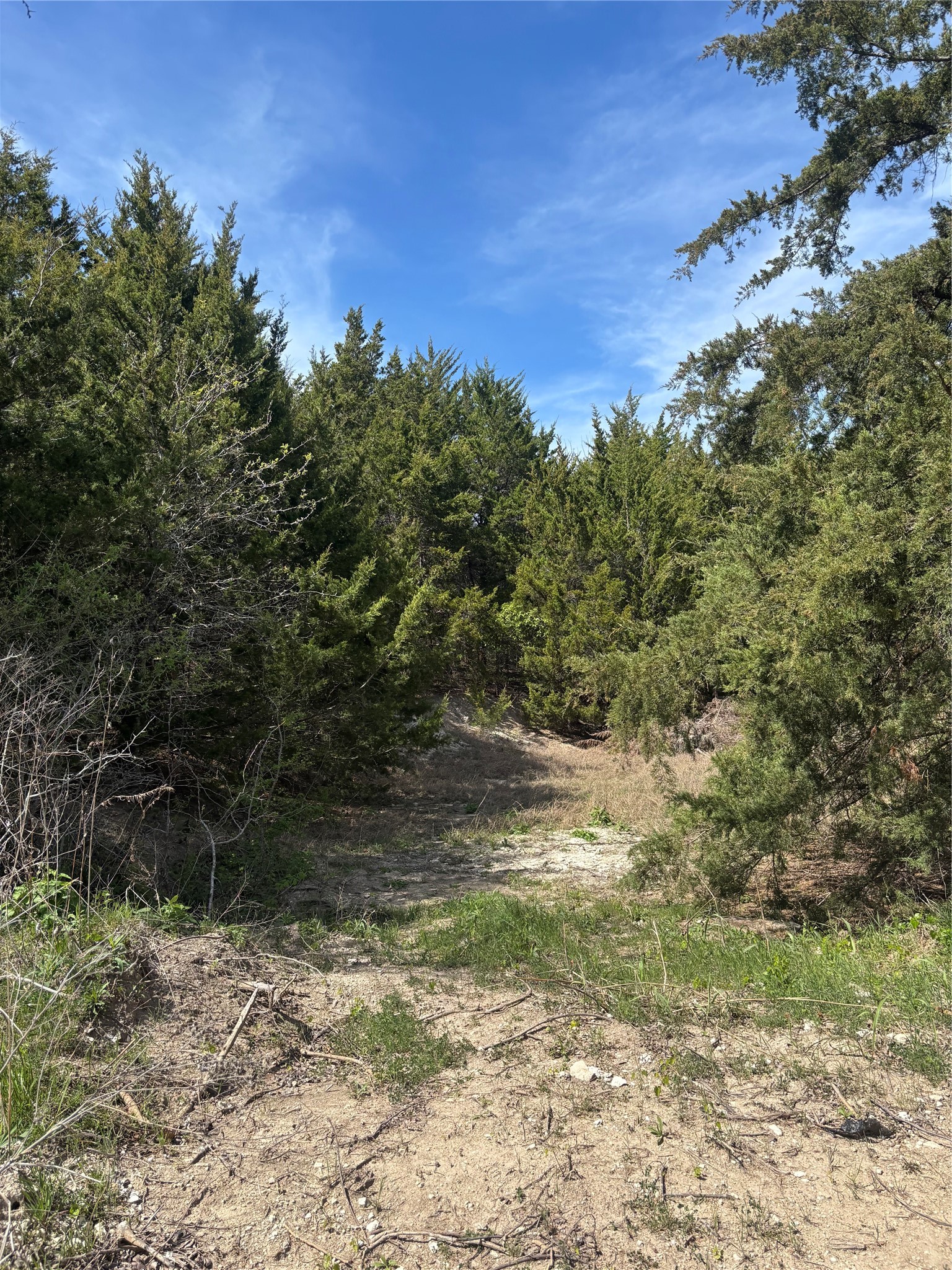 Land in Waxahachie