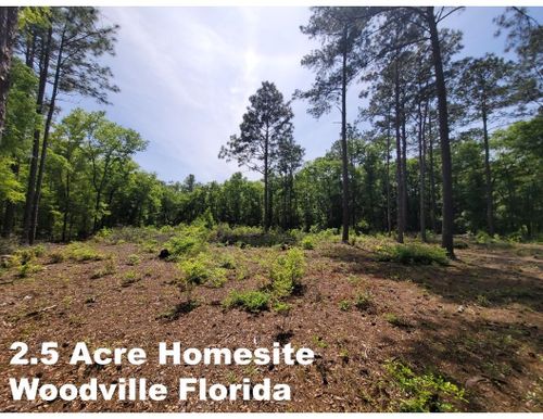 Tract E Lutterloh Road, WOODVILLE, FL, 32305 | Card Image