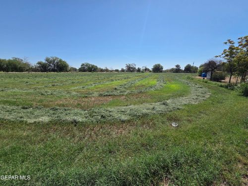 PN-220445 Borrego Rd, San Elizario, TX, 79849 | Card Image
