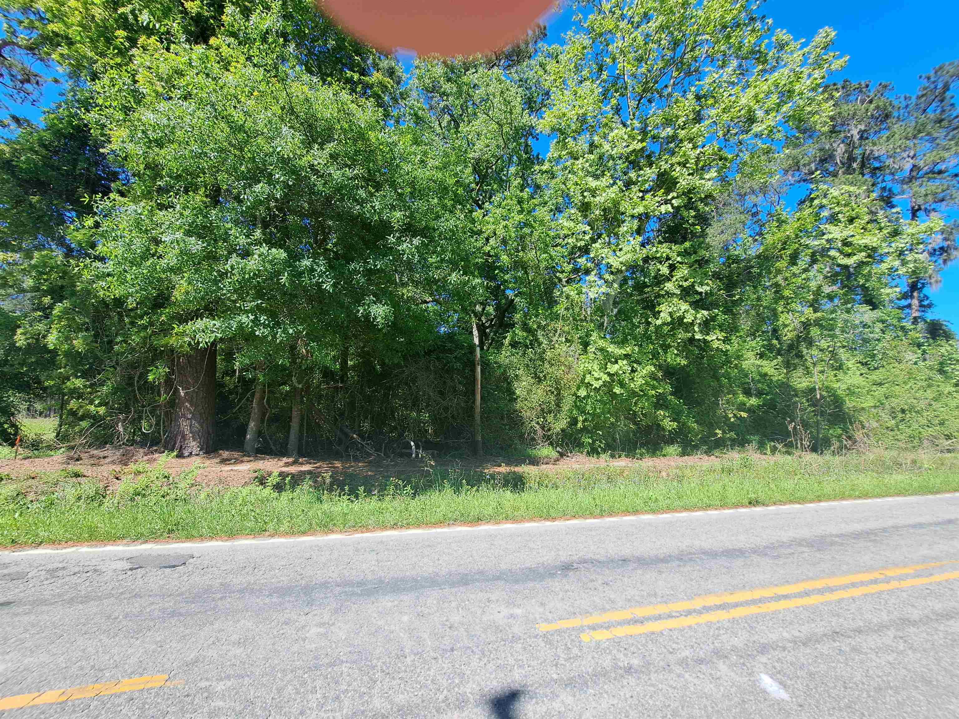 Land in Conway 3