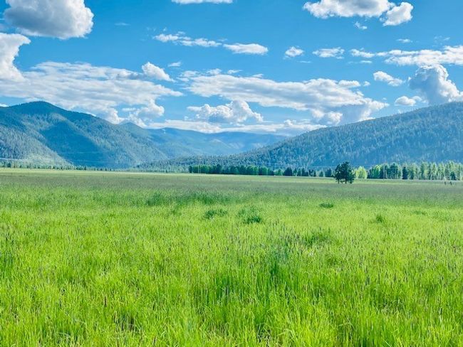 Views of adjacent ranch land and Cabinet Mountains | Image 11