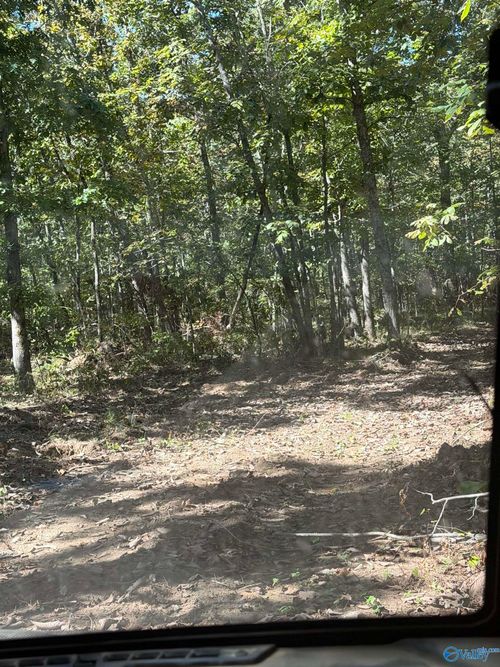 01 County Road 66, Mentone, AL, 35960 | Card Image