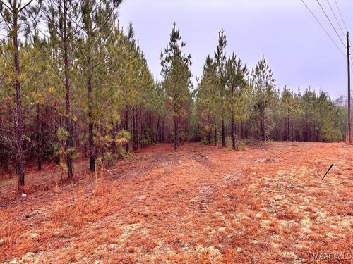 1 Grass Farm Rd, Titus, AL, 36080-3452 | Card Image