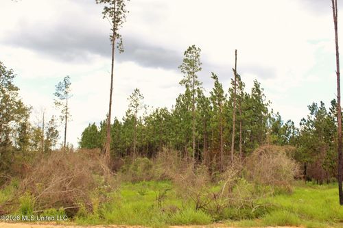 8.83ac Little Cedar Road, Lucedale, MS, 39452 | Card Image