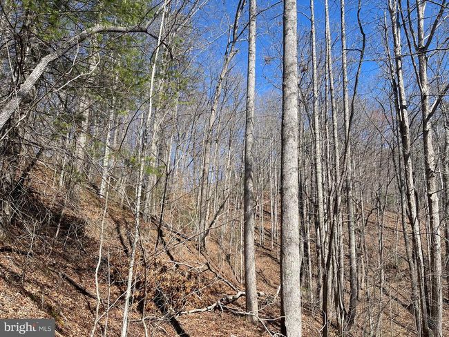 0 Bear Cove Rd, Home with 0 bedrooms, 0 bathrooms and null parking in Bryson City NC | Image 4