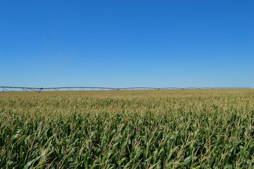 NA State Highway 89, Holly, CO, 81047 | Card Image