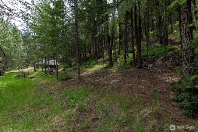 7 Howerton Rd, Home with 0 bedrooms, 0 bathrooms and null parking in Twisp WA | Image 6