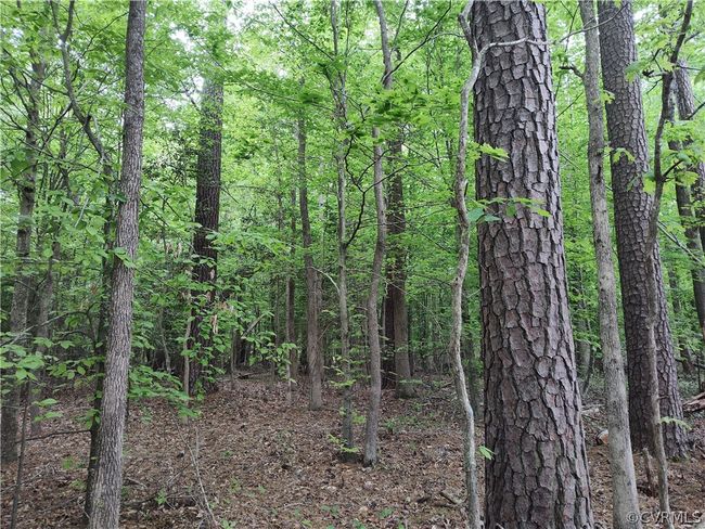0 Old Church St, Home with 0 bedrooms, 0 bathrooms and null parking in Claremont VA | Image 26