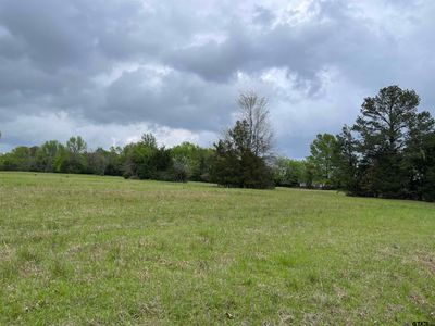 Lot 19 Hunters Hollow, Home with 0 bedrooms, 0 bathrooms and null parking in Mt Vernon TX | Image 3