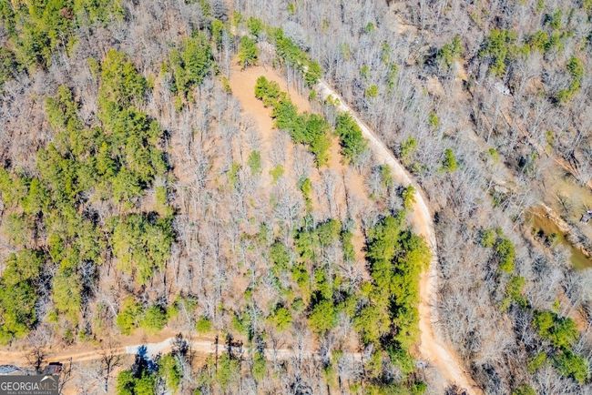 0 County Road 269, Home with 0 bedrooms, 0 bathrooms and null parking in Wedowee AL | Image 16