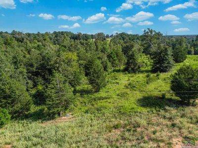 Lt 43 Ridgeline Loop, Home with 0 bedrooms, 0 bathrooms and null parking in Winona TX | Image 2