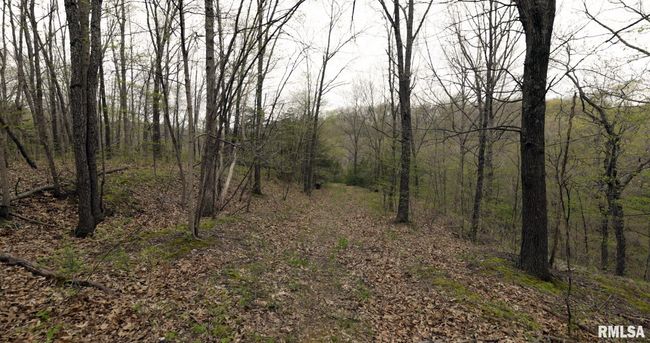 0 N Chambers Rd, Home with 0 bedrooms, 0 bathrooms and null parking in Smithfield IL | Image 24