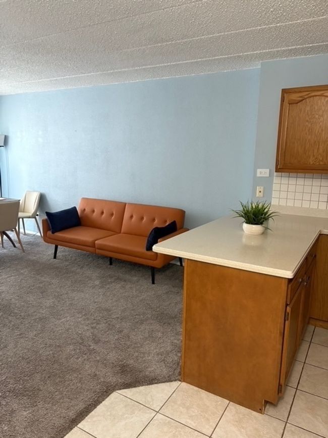 APT-6H - 9701 N Dee Rd, Condo with 1 bedrooms, 1 bathrooms and 2 parking in Niles IL | Image 23